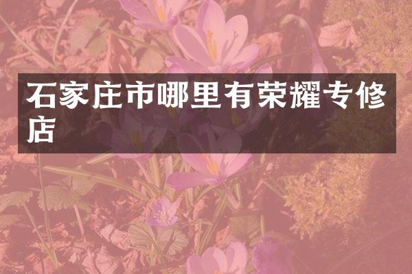 石家庄市哪里有荣耀专修店