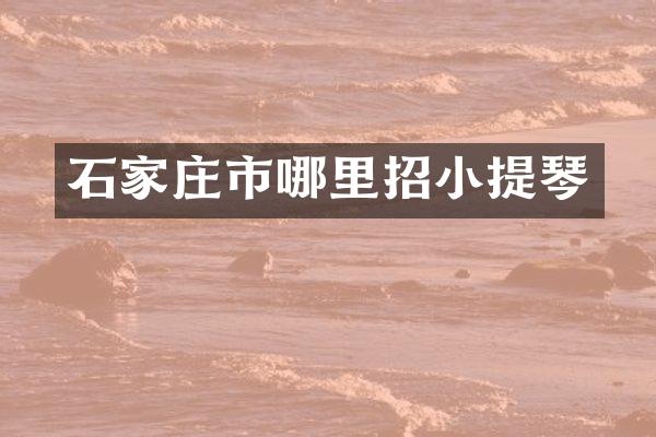 石家庄市哪里招小提琴
