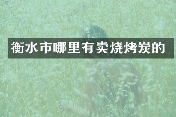 衡水市哪里有卖烧烤炭的