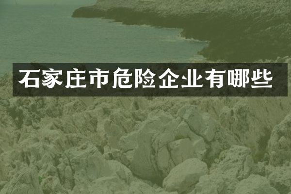 石家庄市危险企业有哪些
