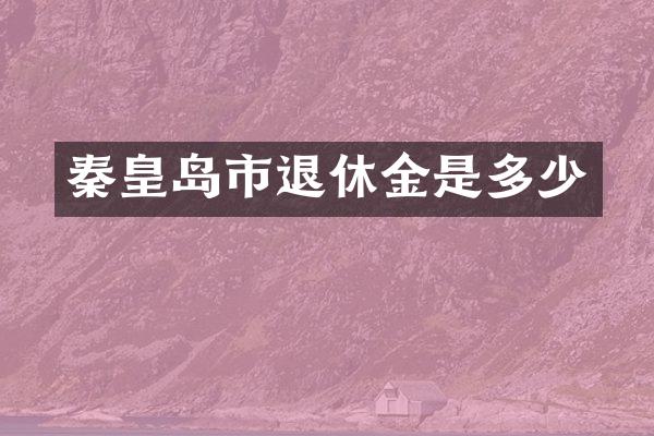 秦皇岛市退休金是多少