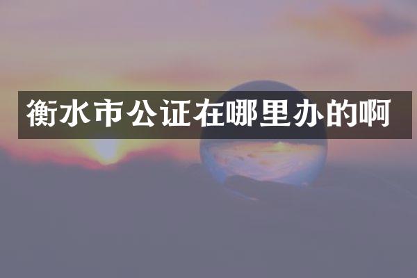 衡水市公证在哪里办的啊