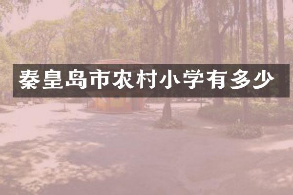 秦皇岛市农村小学有多少