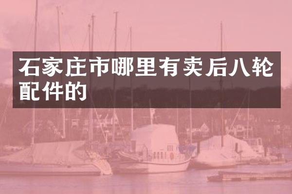 石家庄市哪里有卖后八轮配件的