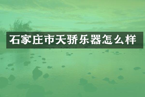 石家庄市天骄乐器怎么样