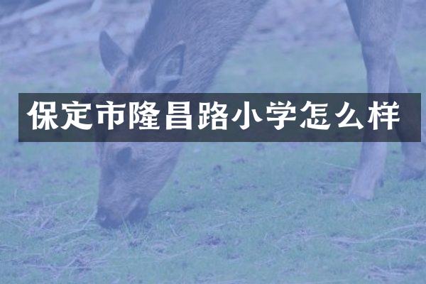 保定市隆昌路小学怎么样