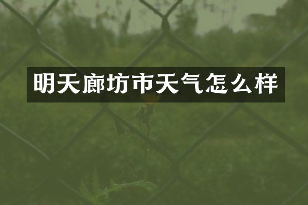 明天廊坊市天气怎么样