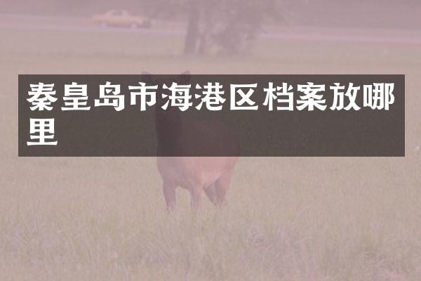 秦皇岛市海港区档案放哪里