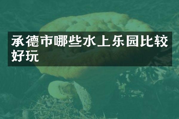 承德市哪些水上乐园比较好玩