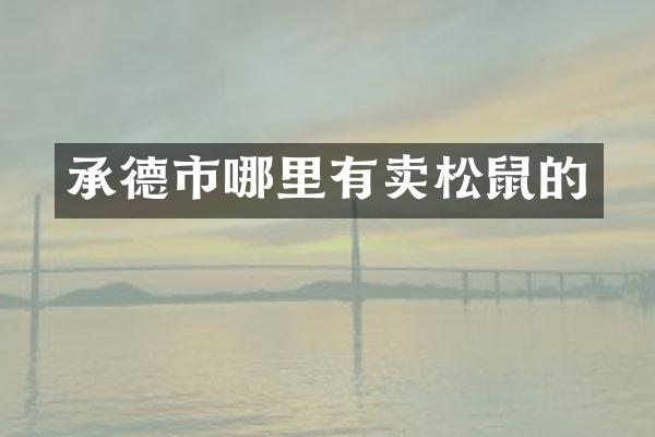 承德市哪里有卖松鼠的