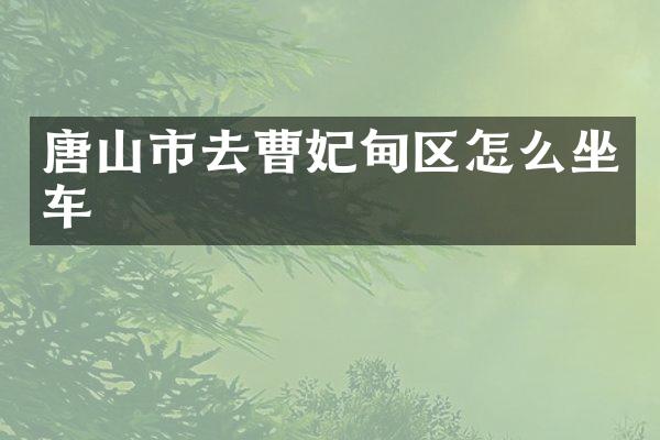 唐山市去曹妃甸区怎么坐车