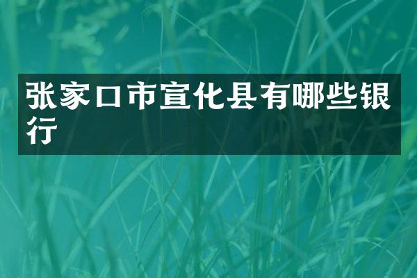 张家口市宣化县有哪些银行
