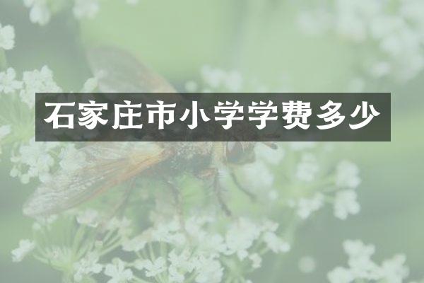 石家庄市小学学费多少