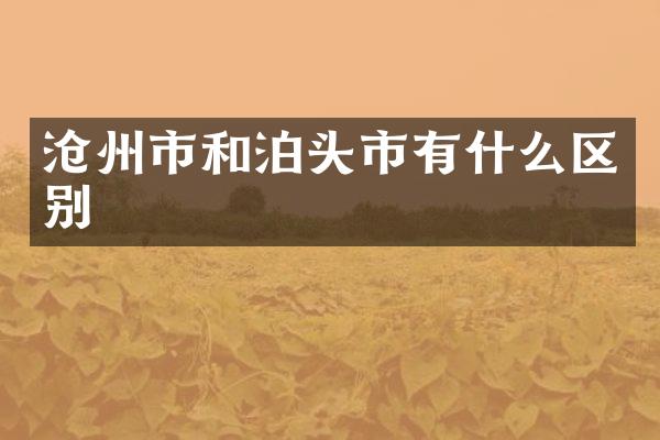 沧州市和泊头市有什么区别