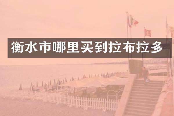 衡水市哪里买到拉布拉多