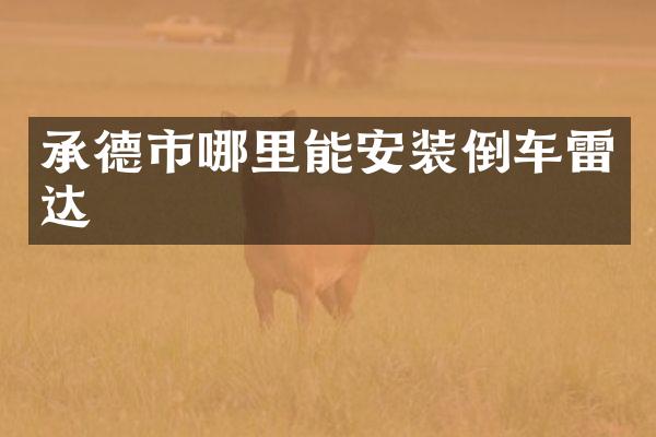 承德市哪里能安装倒车雷达
