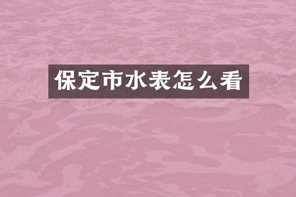 保定市水表怎么看