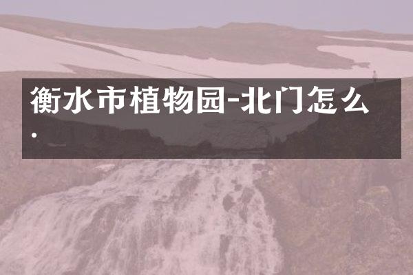 衡水市植物园-北门怎么样