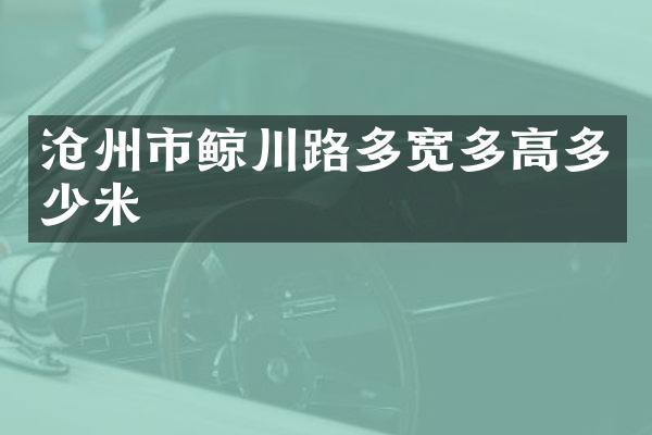 沧州市鲸川路多宽多高多少米