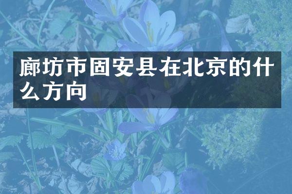 廊坊市固安县在北京的什么方向