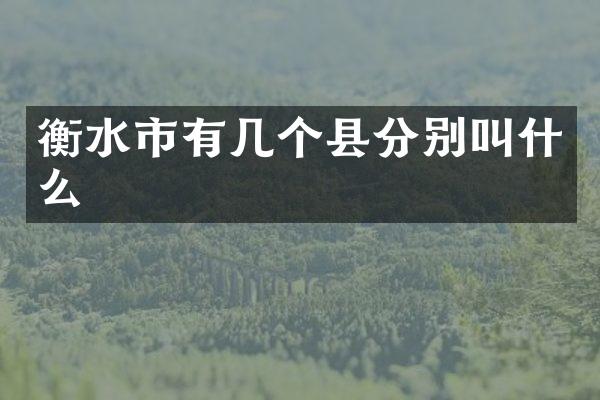 衡水市有几个县分别叫什么