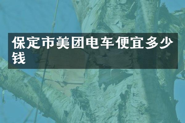 保定市美团电车便宜多少钱