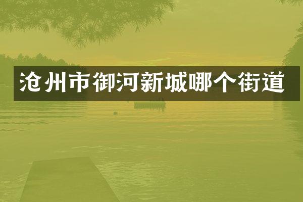 沧州市御河新城哪个街道