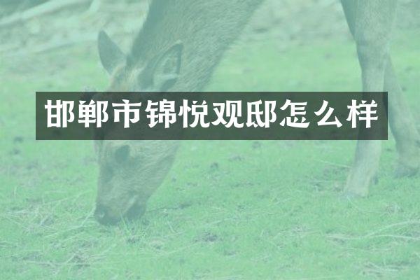 邯郸市锦悦观邸怎么样