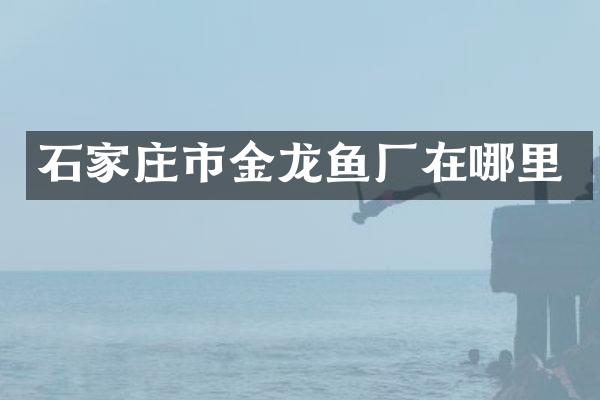 石家庄市金龙鱼厂在哪里