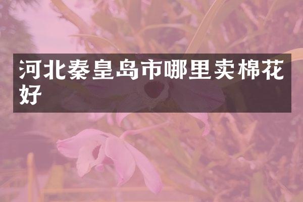 河北秦皇岛市哪里卖棉花好