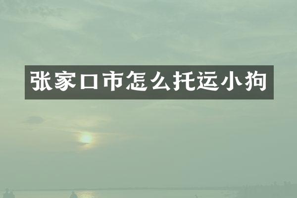 张家口市怎么托运小狗