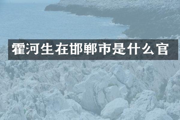 霍河生在邯郸市是什么官