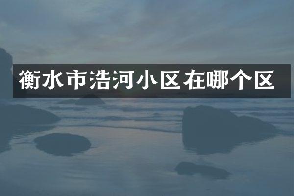 衡水市浩河小区在哪个区