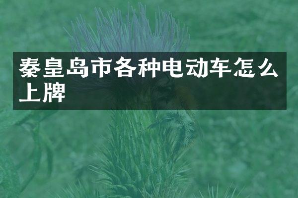 秦皇岛市各种电动车怎么上牌