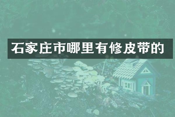 石家庄市哪里有修皮带的