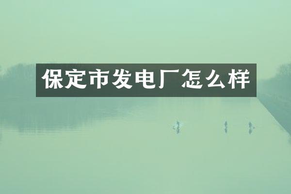 保定市发电厂怎么样