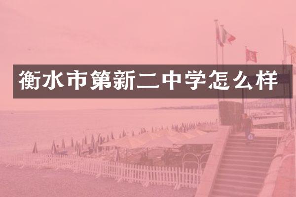 衡水市第新二中学怎么样