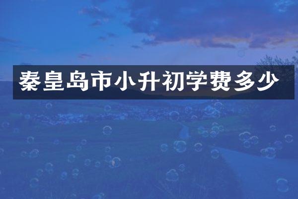 秦皇岛市小升初学费多少