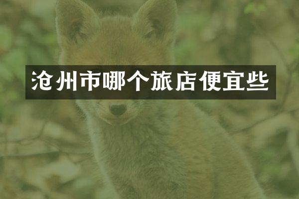 沧州市哪个旅店便宜些
