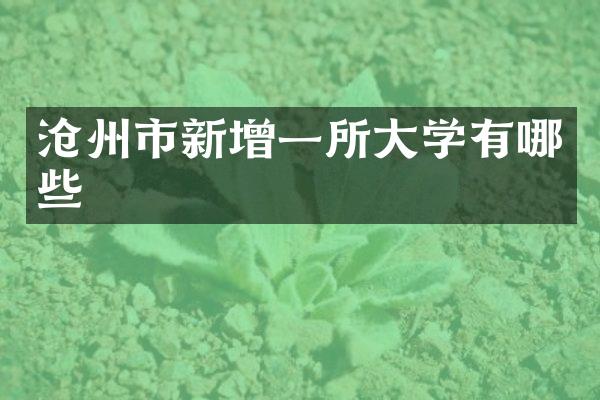 沧州市新增一所大学有哪些