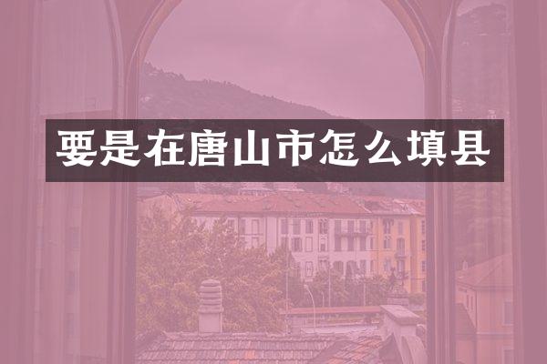 要是在唐山市怎么填县
