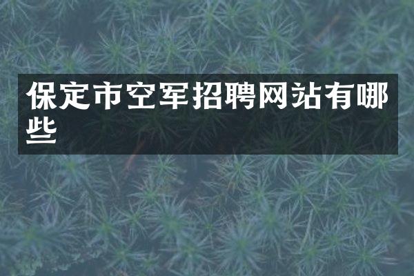 保定市空军招聘网站有哪些