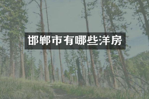邯郸市有哪些洋房