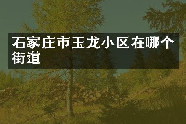 石家庄市玉龙小区在哪个街道