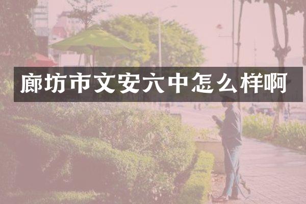廊坊市文安六中怎么样啊