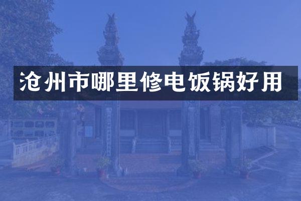 沧州市哪里修电饭锅好用