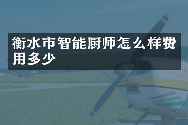 衡水市智能厨师怎么样费用多少