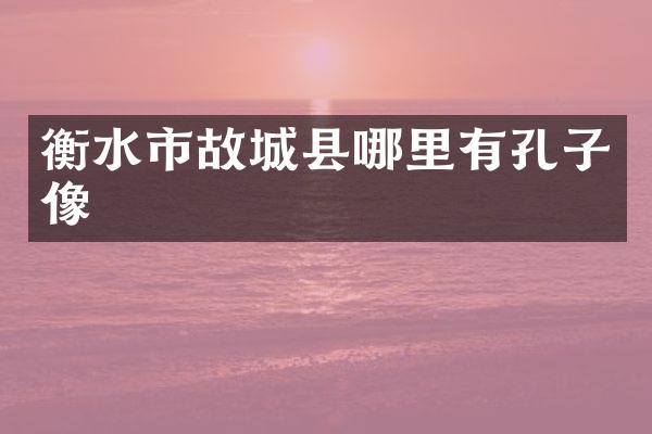 衡水市故城县哪里有孔子像