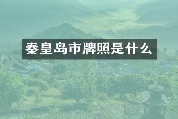 秦皇岛市牌照是什么