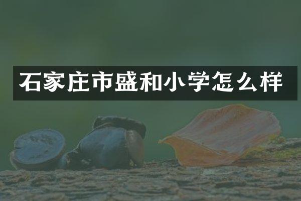 石家庄市盛和小学怎么样